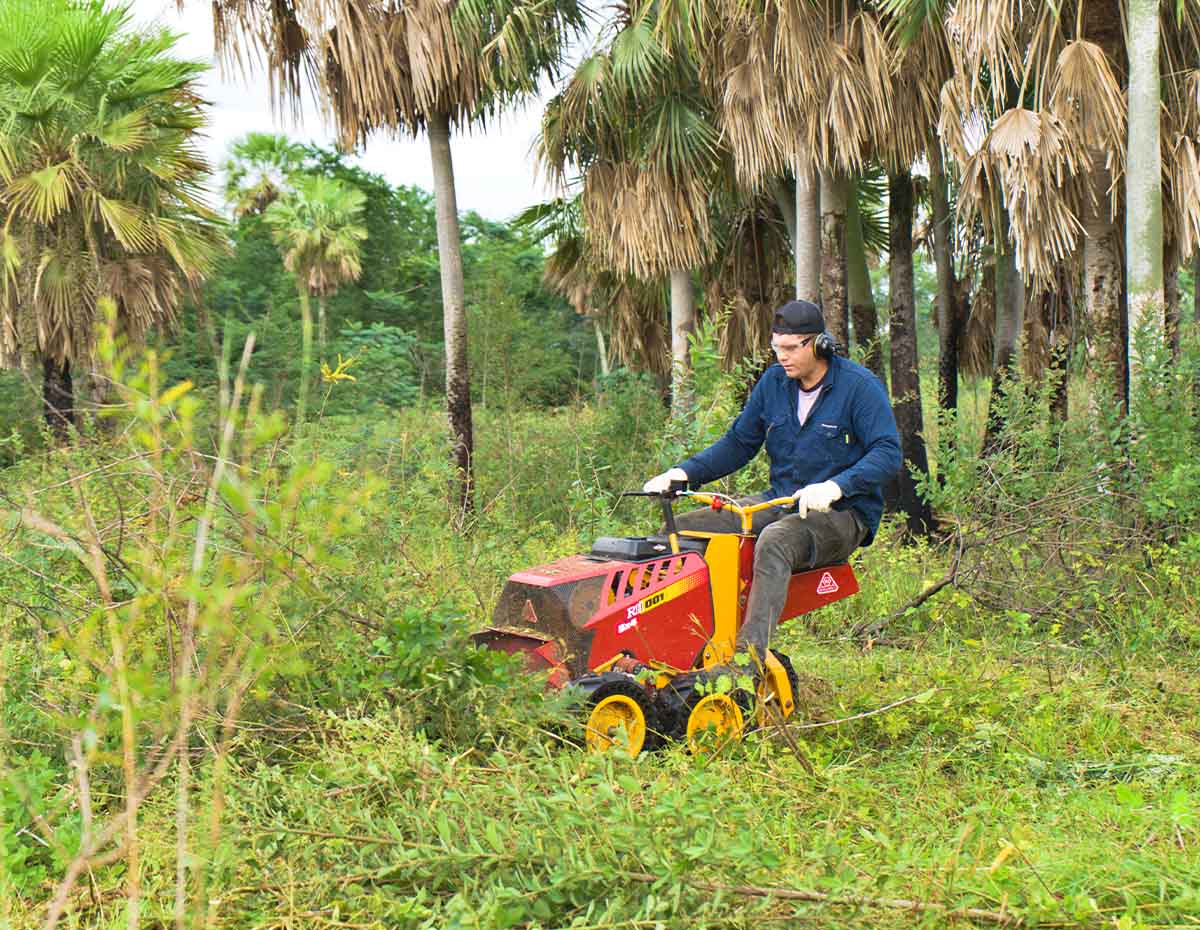 Desmalezadora Roland H001 5x4 - Imagen 3