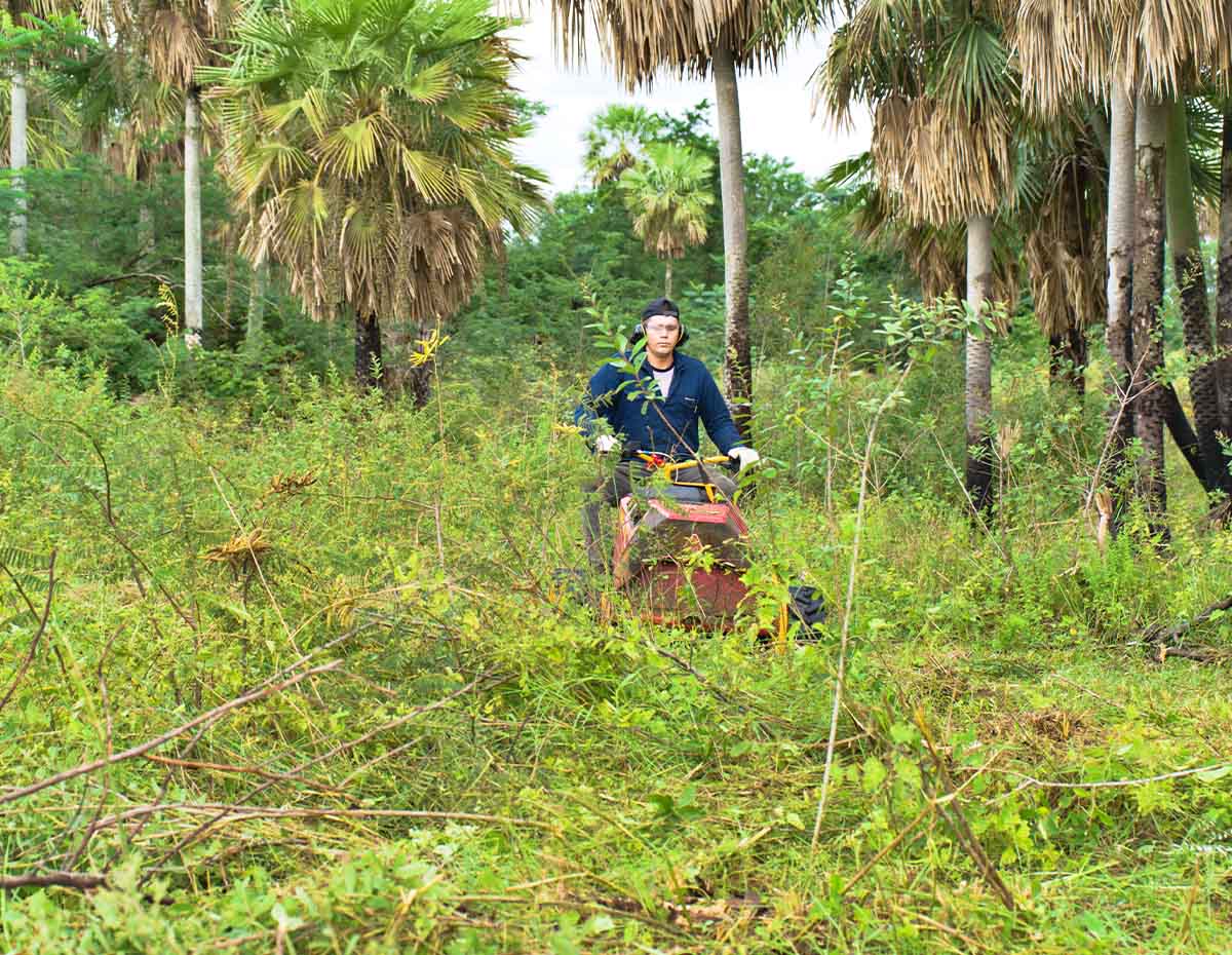 Desmalezadora Roland H001 5x4 - Imagen 4