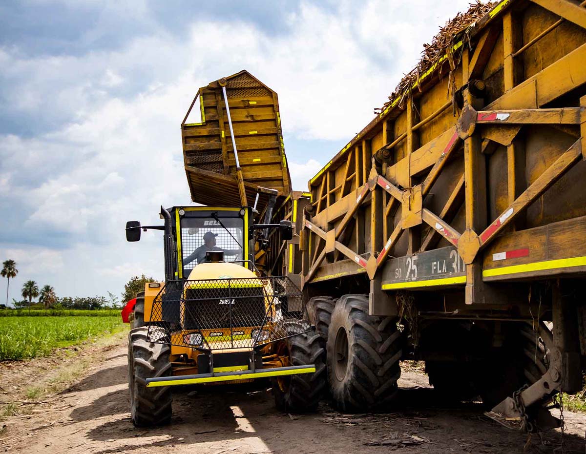 Tractor Bell 1736AF - Imagen 3